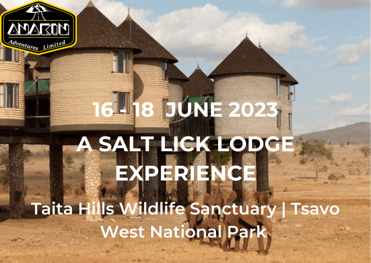 Salt Lick Safari Lodge Madaraka Express –&nbsp;Tsavo